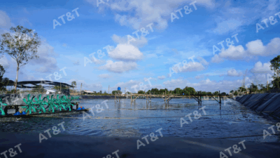 Màng HDPE tại dự án hồ nuôi tôm