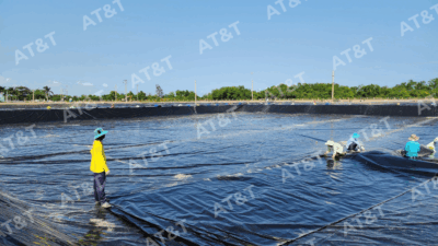 Màng chống thấm HDPE