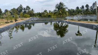 Bạt HDPE và ứng dụng trong lót ao nuôi cá
