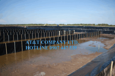 Thi công màng chống thấm HDPE cho hệ thống xử lý nước phân luồng ao nuôi tôm