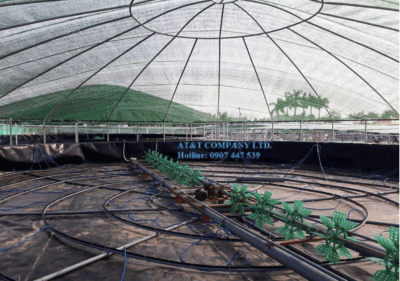Thi công màng HDPE lót bạt tròn nuôi tôm