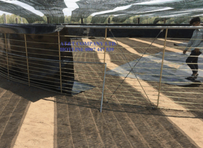 dự án nuôi tôm CNC trên ao nổi