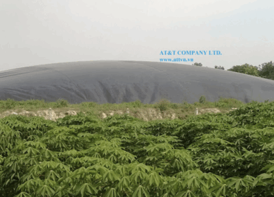 Hầm Biogas từ màng HDPE