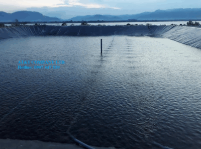 Lót màng HDPE ao nuôi tôm