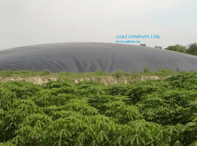 Màng chống thấm Hdpe làm hầm Biogas