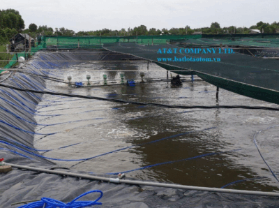 Bạt lót ao tôm tại Kiên Giang