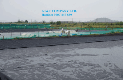 Lót bạt nuôi tôm từ màng HDPE