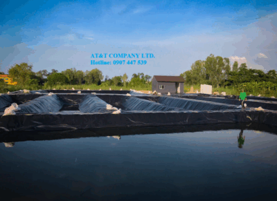 Màng chống thấm HDPE - Lót bạt ao nuôi cá tra