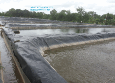 Màng chống thấm lót bạt nuôi cá