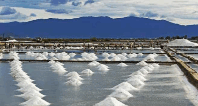 màng chống thấm HDPE cho ruộng muối