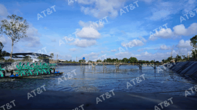 Bạt HDPE được thi công cho dự án hồ nuôi tôm
