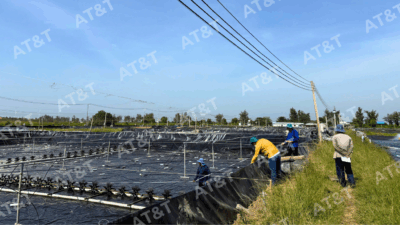 Thi công màng chống thấm HDPE giá tốt chuyên nghiệp