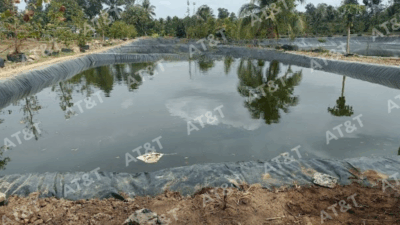 Ao nuôi lót màng HDPE giúp vệ sinh nhanh và rút ngắn thời gian cải tạo ao.
