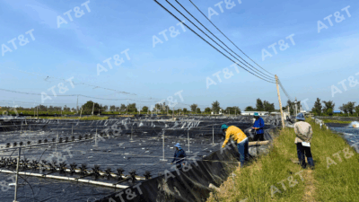 Kiểm định chất lượng bạt HDPE thực tế tại công trình