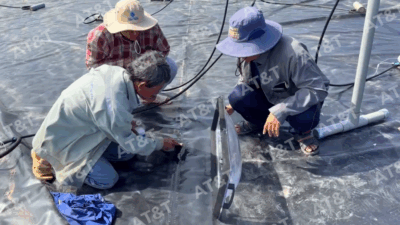 Kiểm tra chất lượng mối hàn